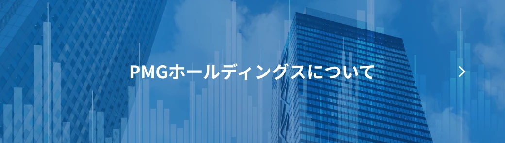 PMGホールディングスについて
