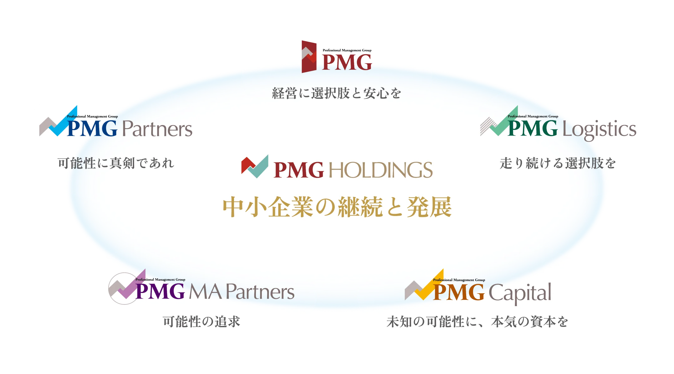 PMG HOLDINGSとグループ各社の関係図