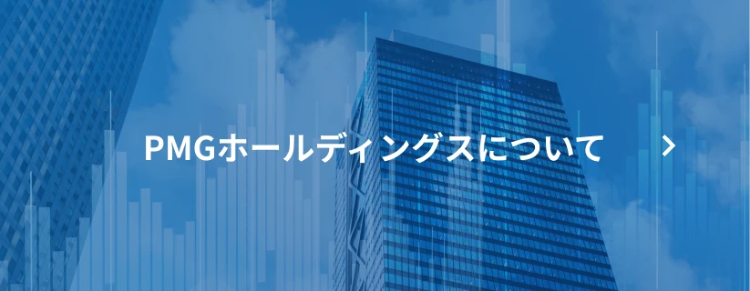PMGホールディングスについて